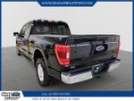2023 F-150 Thumbnail 4