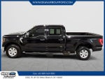 2023 F-150 Thumbnail 5