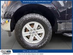 2023 F-150 Thumbnail 7
