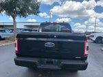 2023 F-150 Thumbnail 7