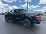 2023 F-150 Thumbnail 8