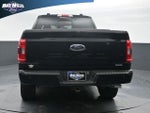 2023 F-150 Thumbnail 6