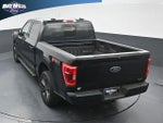 2023 F-150 Thumbnail 13