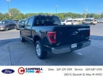 2023 F-150 Thumbnail 5