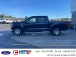 2023 F-150 Thumbnail 6