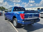 2023 F-150 Thumbnail 7