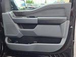 2023 F-150 Thumbnail 6