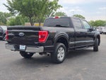 2023 F-150 Thumbnail 10