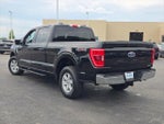2023 F-150 Thumbnail 12