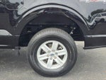 2023 F-150 Thumbnail 14