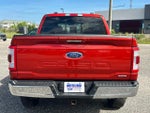 2023 F-150 Thumbnail 3