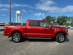 2023 F-150 Thumbnail 4
