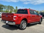 2023 F-150 Thumbnail 5