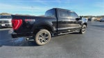 2023 F-150 Thumbnail 8
