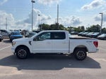 2023 F-150 Thumbnail 6