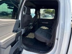 2023 F-150 Thumbnail 10