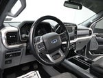 2021 F-150 Thumbnail 12