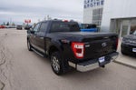 2021 F-150 Thumbnail 3
