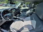 2021 F-150 Thumbnail 10