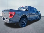2021 F-150 Thumbnail 5