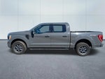 2021 F-150 Thumbnail 8