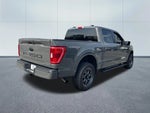 2021 F-150 Thumbnail 5
