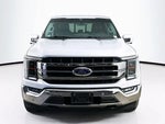 2021 F-150 Thumbnail 4