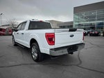 2021 F-150 Thumbnail 5