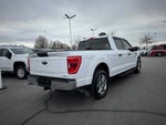 2021 F-150 Thumbnail 7
