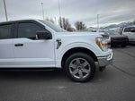 2021 F-150 Thumbnail 10