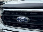 2021 F-150 Thumbnail 13