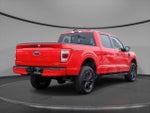2021 F-150 Thumbnail 2