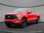 2021 F-150 Thumbnail 5