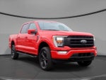 2021 F-150 Thumbnail 7
