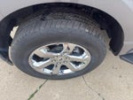 2021 F-150 Thumbnail 11