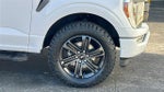 2021 F-150 Thumbnail 6
