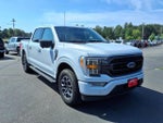 2021 F-150 Thumbnail 8
