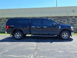 2021 F-150 Thumbnail 11