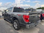 2021 F-150 Thumbnail 2