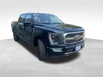 2022 F-150 Thumbnail 7