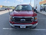 2022 F-150 Thumbnail 3