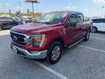 2022 F-150 Thumbnail 4