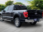 2022 F-150 Thumbnail 2