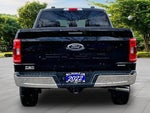 2022 F-150 Thumbnail 4