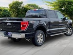 2022 F-150 Thumbnail 12