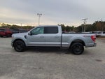 2022 F-150 Thumbnail 7