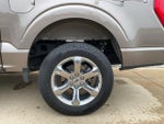 2022 F-150 Thumbnail 6