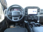 2022 F-150 Thumbnail 11