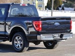 2022 F-150 Thumbnail 9
