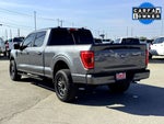2022 F-150 Thumbnail 8